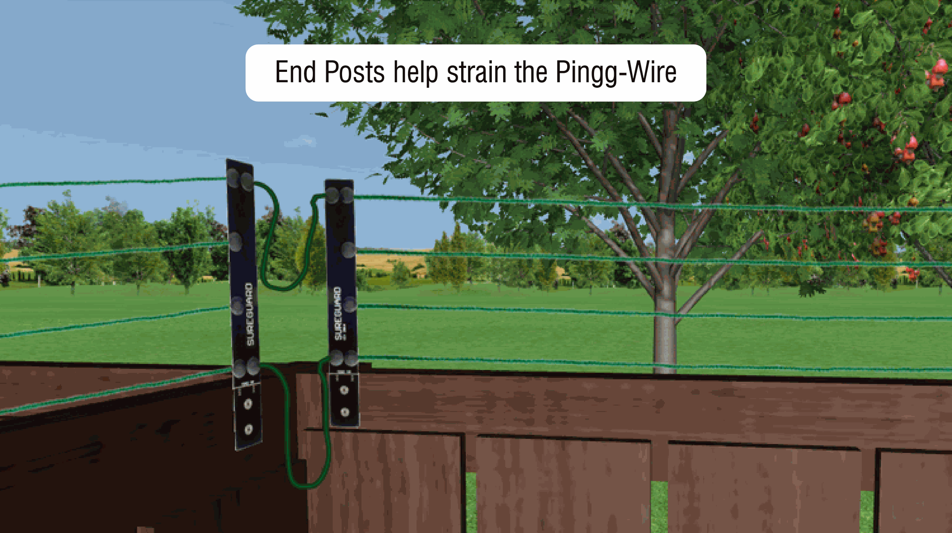 Pingg-String Electric Fence for Dogs Cats Pets and Repel Possums