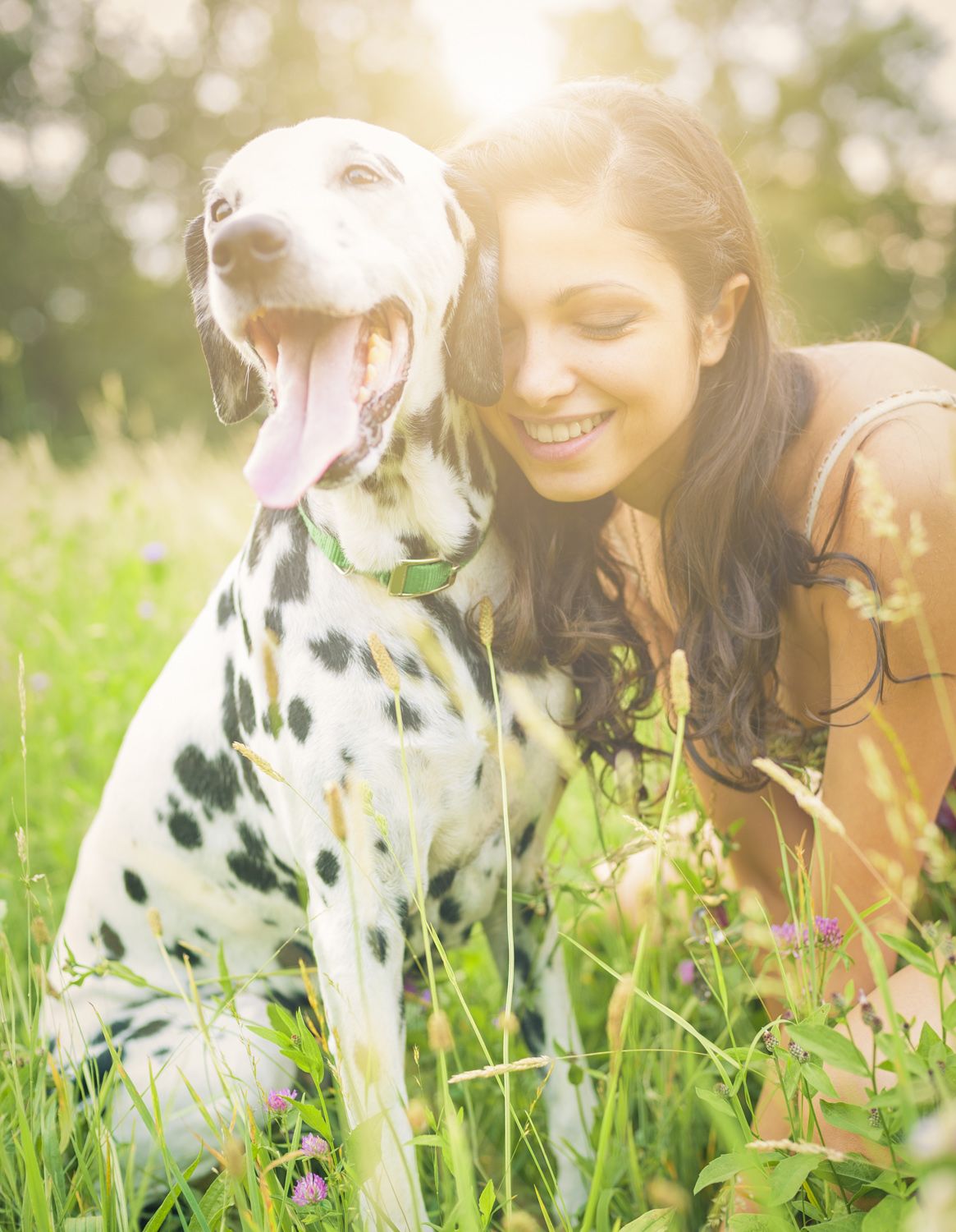 Labrador and young woman in an affectionate pose. Dog is well behaved and loved.