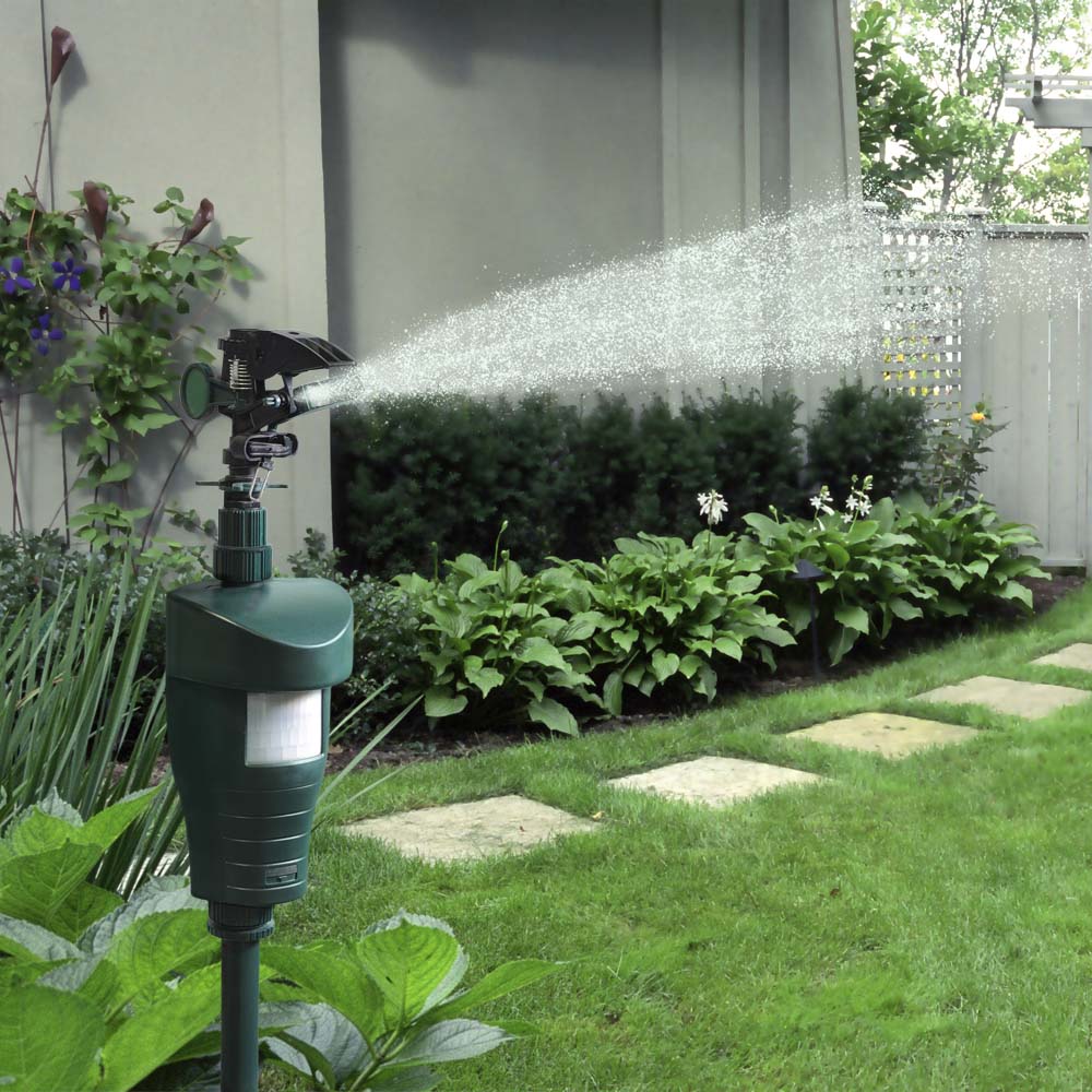 Scarecrow Motion Activated Sprinkler Solar Powered