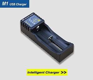 M1 intelligent USB charger